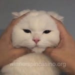 Avatar de Esmeralda Patiño